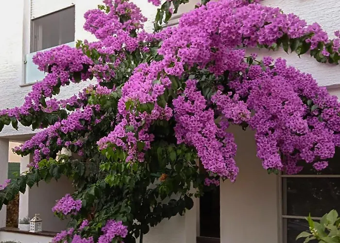 1 Bedroom Cozy In * Pirovac